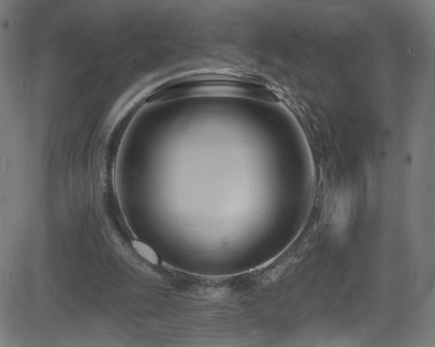 X0000082980247200702011430