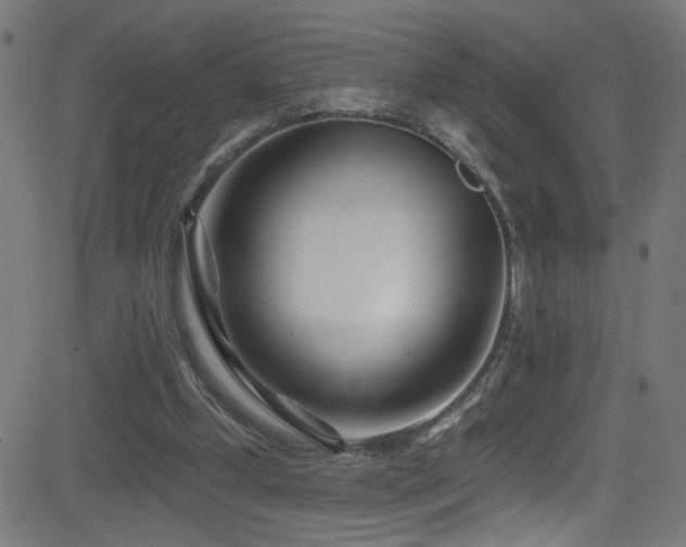 X0000082980249200702011430