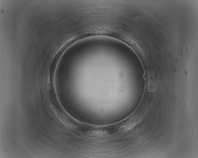 X0000082980251200702011430