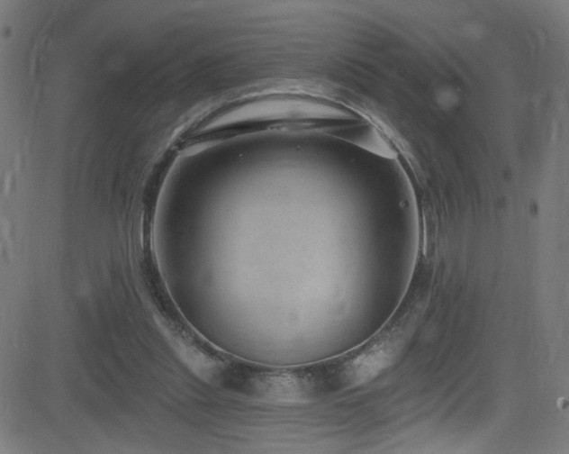 X0000082980253200702011430