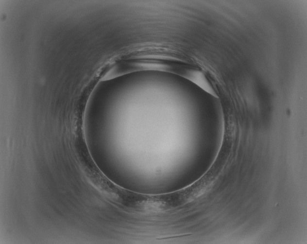 X0000082980255200702011430