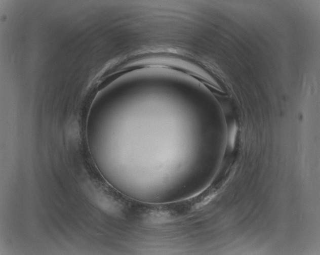 X0000082980256200702011430