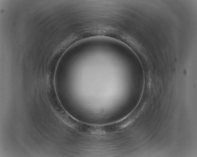 X0000082980258200702011430