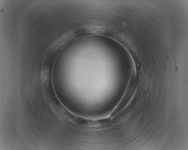 X0000082980263200702011430