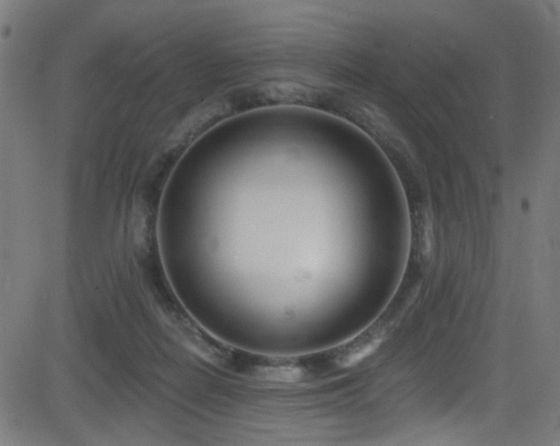 X0000082980266200702011431