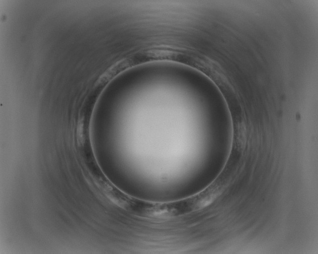 X0000082980267200702011431