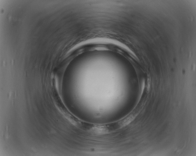 X0000082980280200702011431