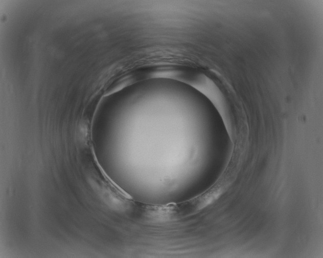 X0000082980288200702011431