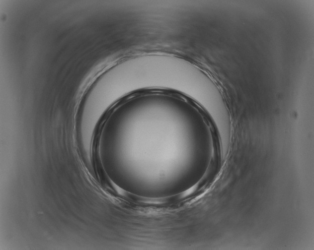 X0000082980293200702011430