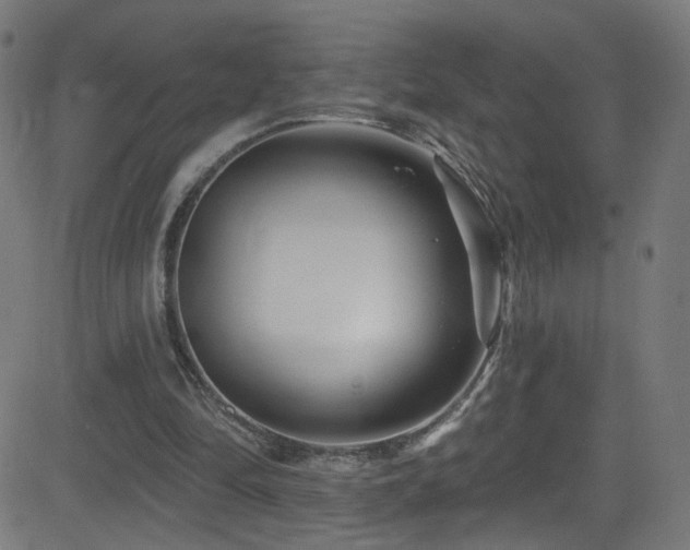 X0000082980294200702011430