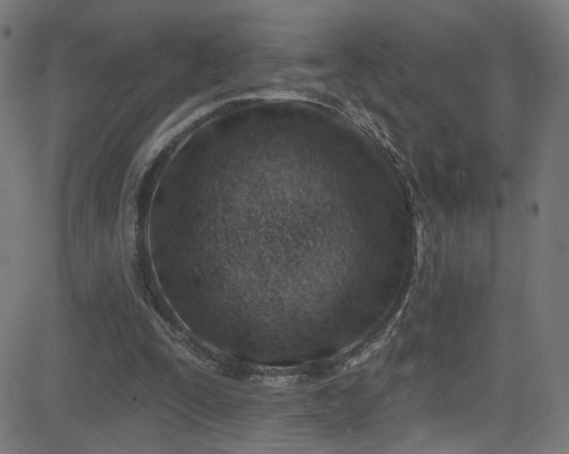 X0000082980295200702011430