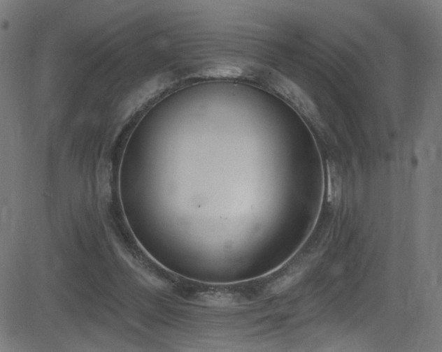 X0000082980300200702011430