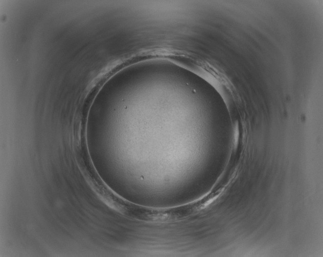 X0000082980301200702011430