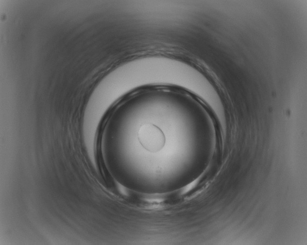 X0000082980313200702011430