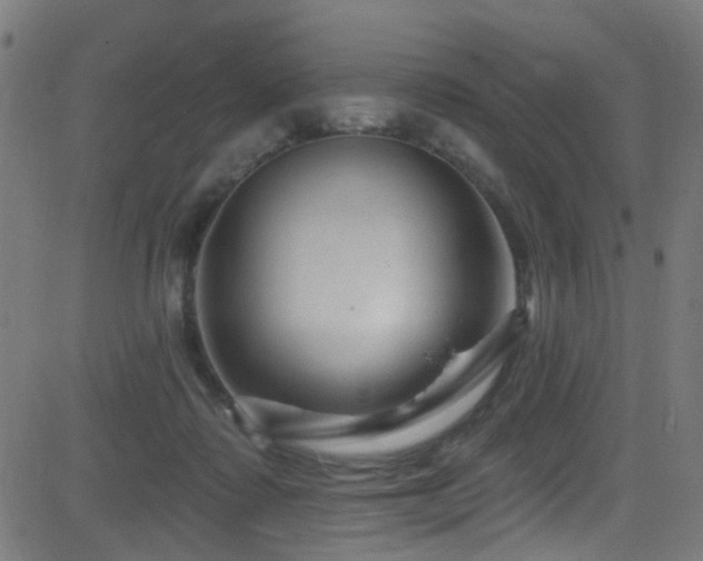 X0000082980315200702011430