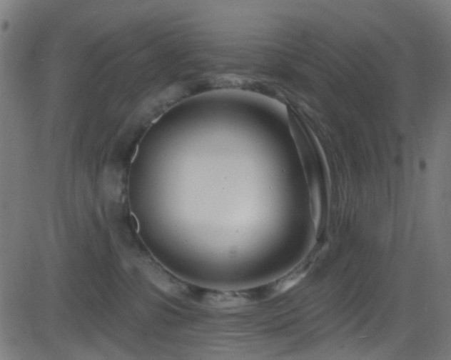 X0000082980331200702011429