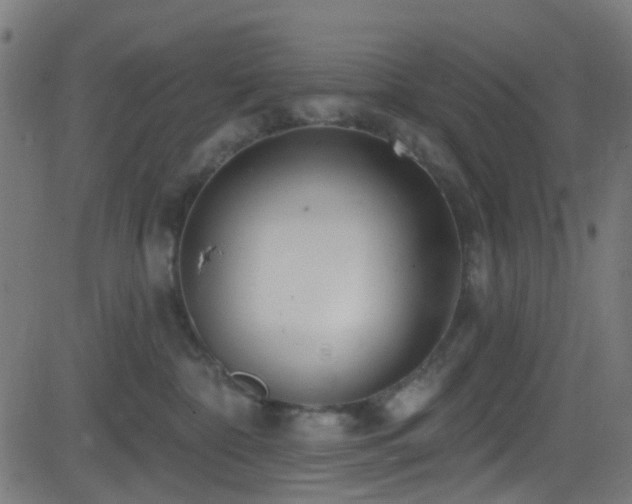 X0000082980332200702011429