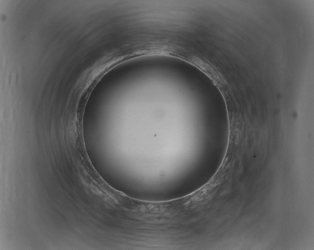 X0000082980338200702011429