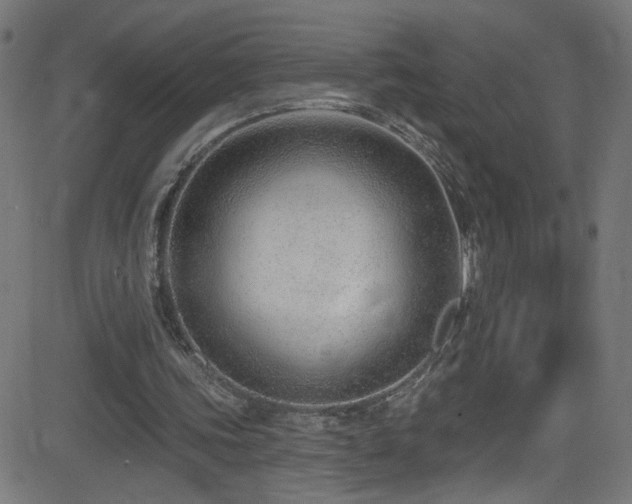 X0000082980339200702011429