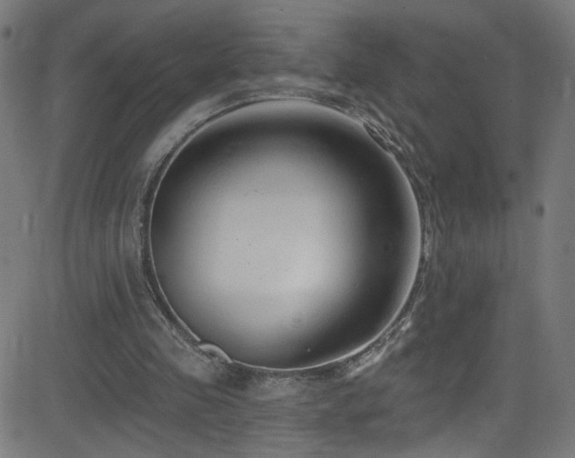 X0000082980341200702011429