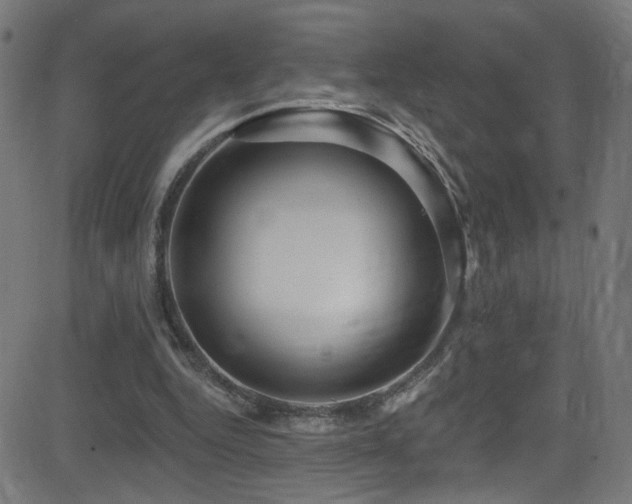 X0000082980344200702011429