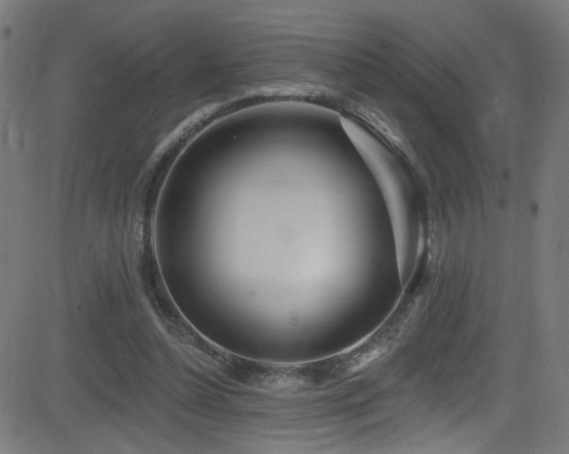 X0000082980348200702011429