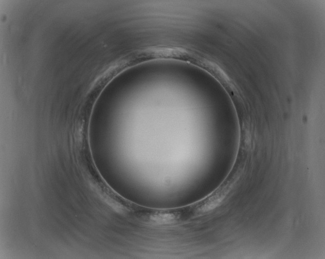 X0000082980357200702011429