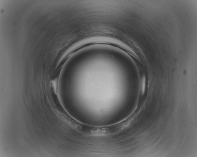 X0000082980362200702011429