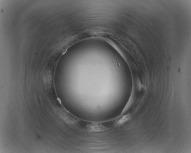 X0000082980372200702011429