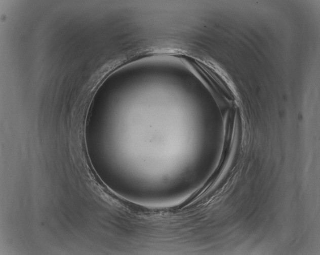 X0000082980385200702011429