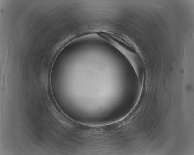 X0000082980386200702011429
