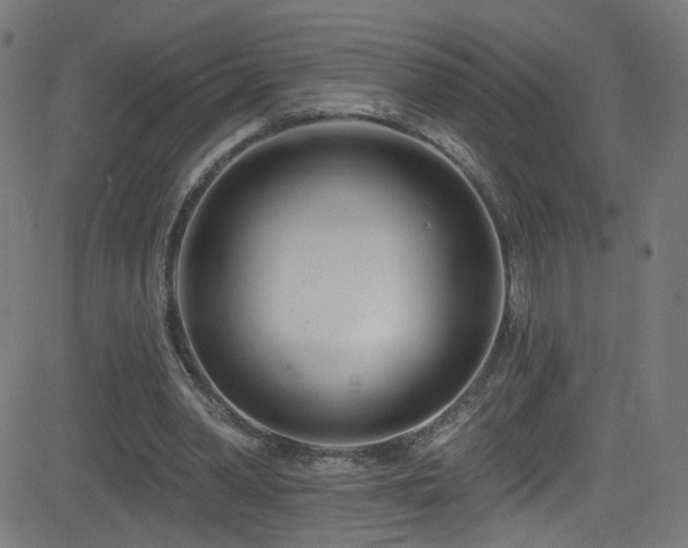 X0000082980390200702011428