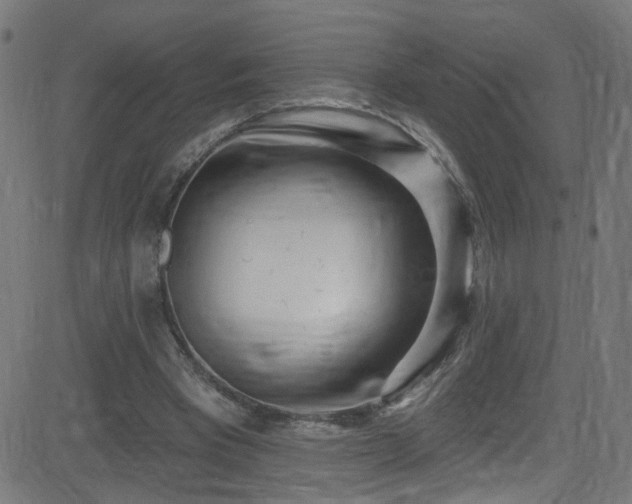 X0000082980393200702011428