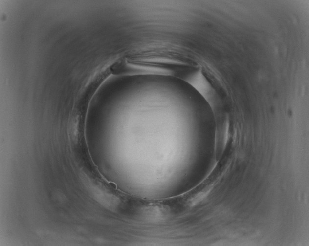 X0000082980404200702011428