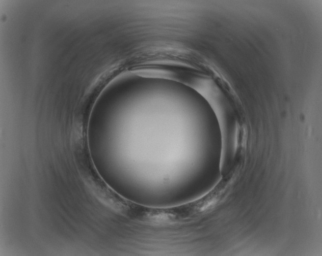 X0000082980407200702011428