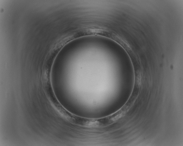 X0000082980410200702011428