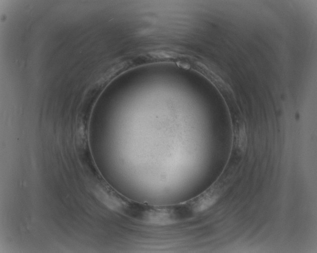 X0000082980418200702011428