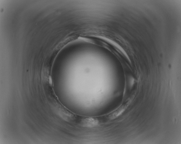 X0000082980421200702011428