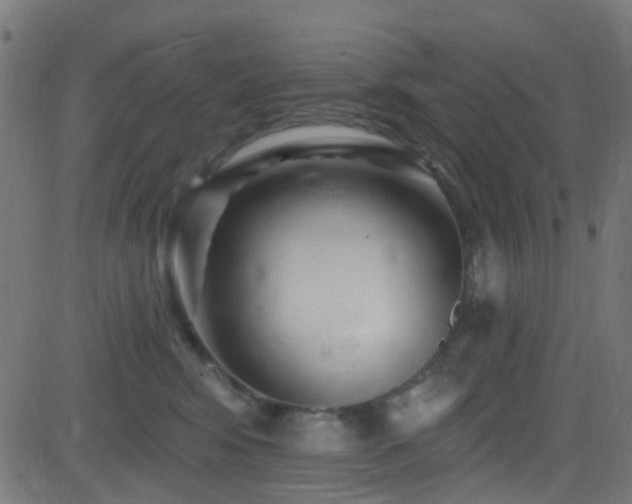 X0000082980424200702011428