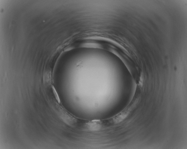 X0000082980425200702011428