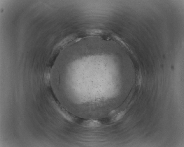 X0000082980427200702011428