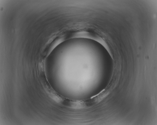 X0000082980432200702011428