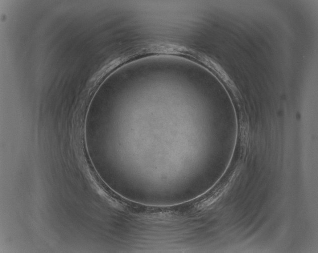 X0000082980433200702011427