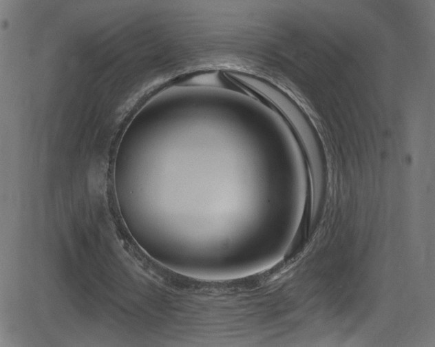 X0000082980434200702011427