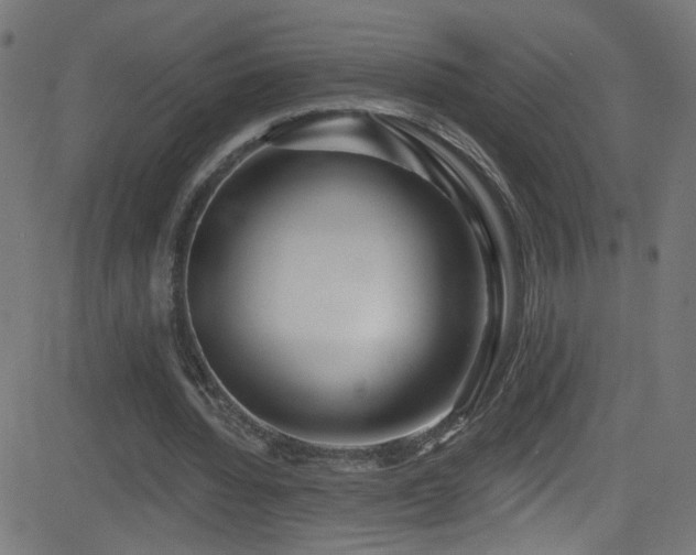 X0000082980436200702011427