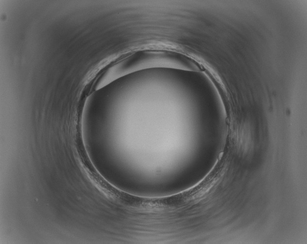 X0000082980437200702011427