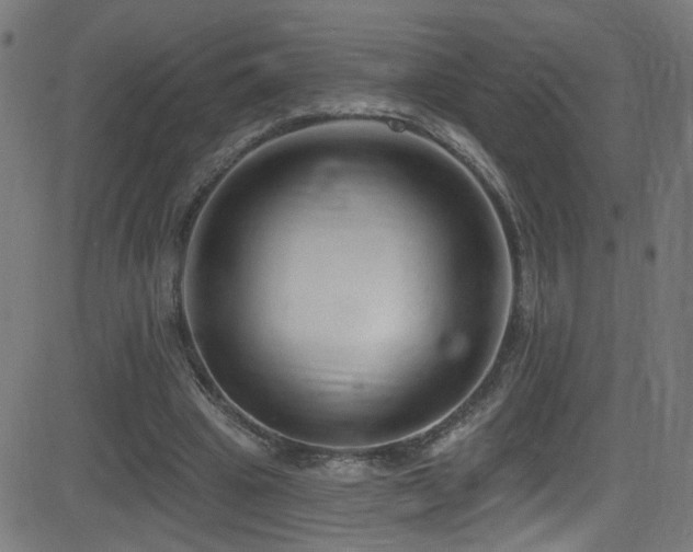 X0000082980441200702011427