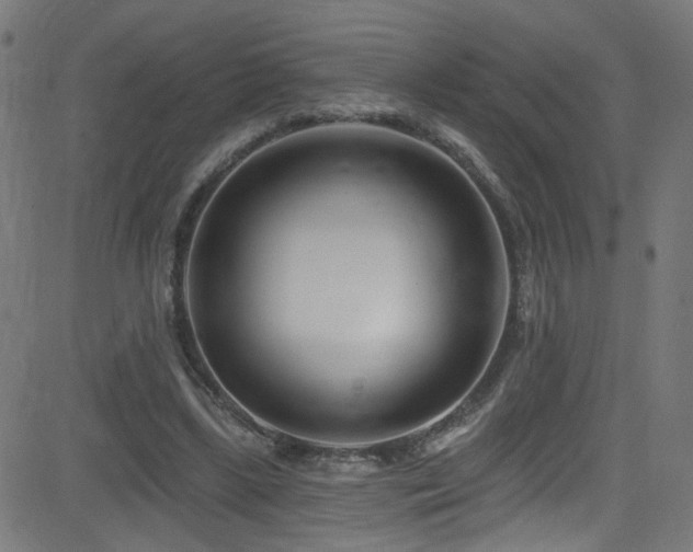 X0000082980443200702011427