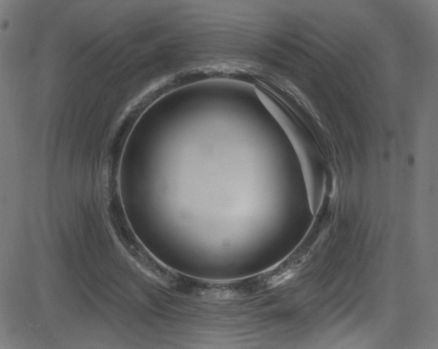 X0000082980444200702011427