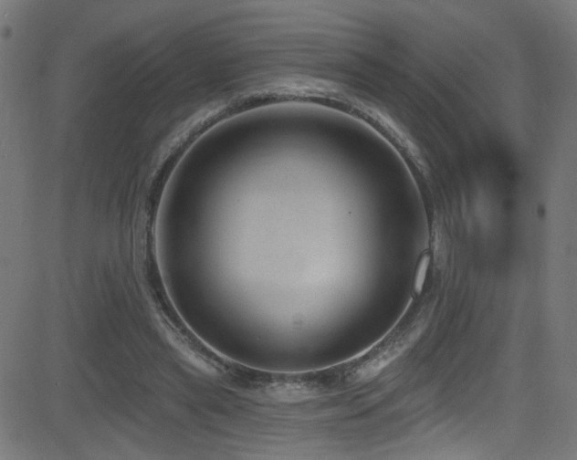 X0000082980445200702011427